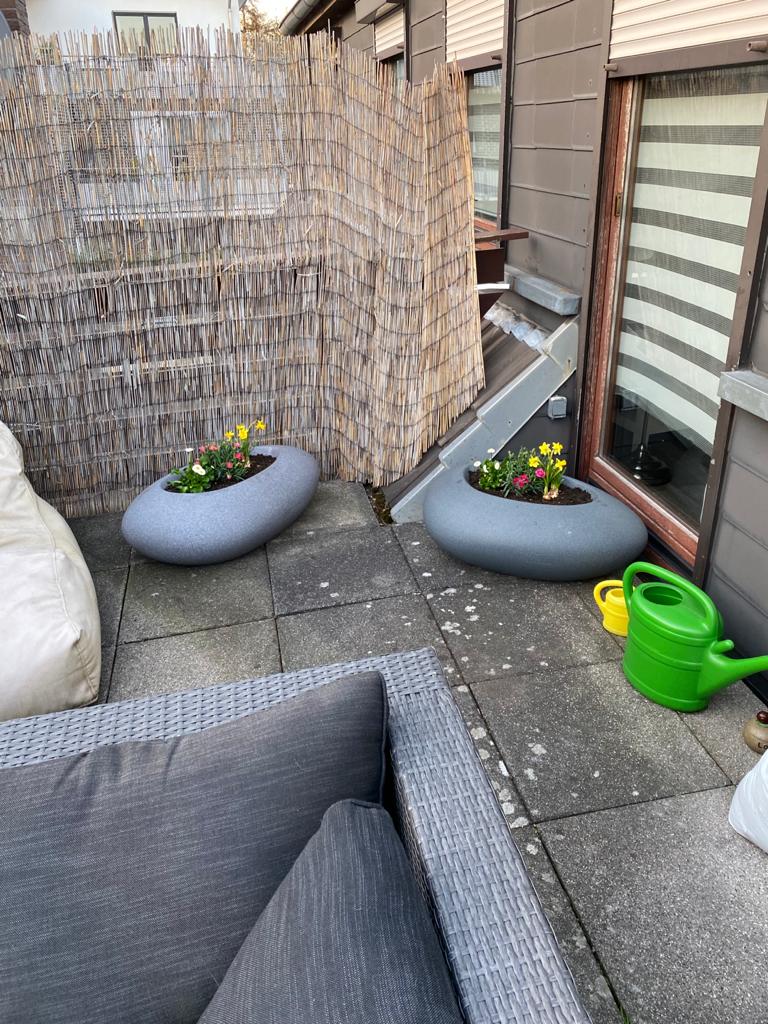 der große bambus terrassendielen vorher nachher vergleich