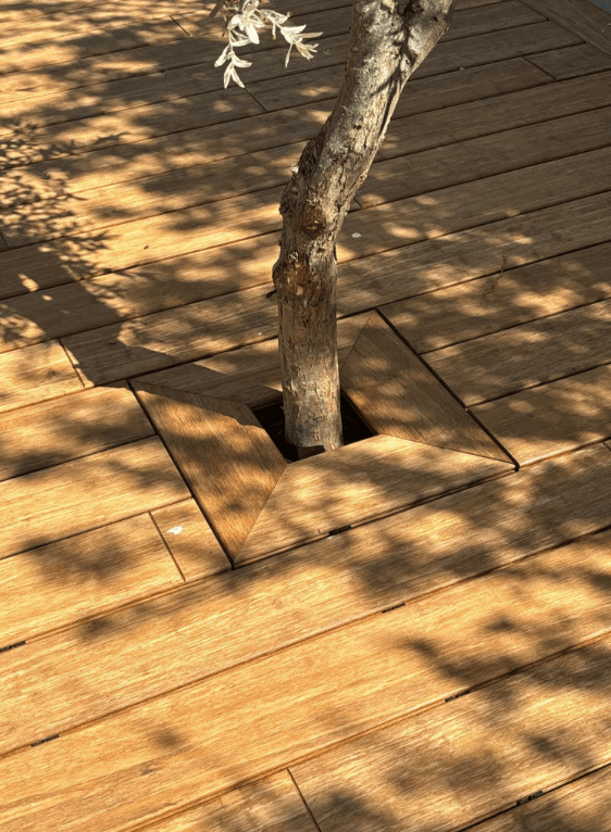 Moderne Bambusterrasse mit maßgefertigter Baumeinfassung. Die aMBOOO Terrassendielen Desaro sind präzise um den Baumstamm verlegt und schaffen eine elegante, natürliche Integration des Baumes in die Terrassenfläche.
